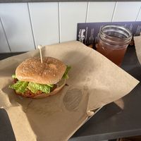   at Far West Fungi in Santa Cruz