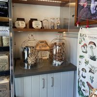 Cool displays  at Far West Fungi in Santa Cruz