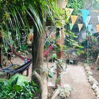 Garden at Ciao Cacao Hostel & Cafe in Flores