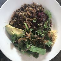 Bowl   at Sassafras in Paddington