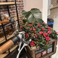   at Otto Waffle Atelier in Bruges