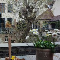  at Otto Waffle Atelier in Bruges