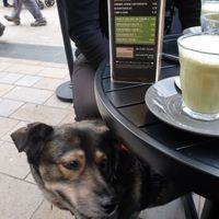 Matcha Latte at Crêpeaffaire in Bromley