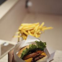 Vegan Burger and Fries  at Fantastic V in Madrid