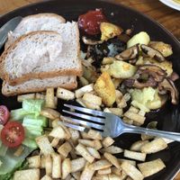   at DD Hut in Koh Tao