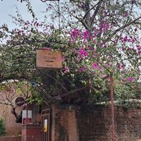  at Utpala Café in Kathmandu