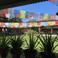 Lovely vibe   at Utpala Café in Kathmandu