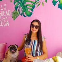 Pet friendly at Satiba in Arequipa