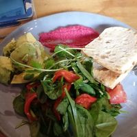  at Fat Dog in Rotorua