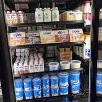 Cream, yogurt and custards   at Sam Coco Trading in Annerley