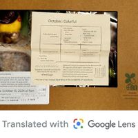 Bento 2 contents at Masumoto - Ginza Mitsukoshi in Tokyo