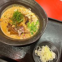 vegan tan tan with extra green onion side  at Jikasei Mensho in Tokyo