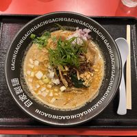   at Jikasei Mensho in Tokyo