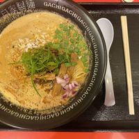 Vegan tantamen  at Jikasei Mensho in Tokyo
