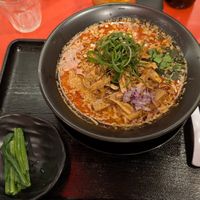 Tan-Tan men at Jikasei Mensho in Tokyo