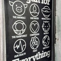 🤍  at Vegi House in Singaraja