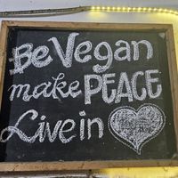  at Vegi House in Singaraja