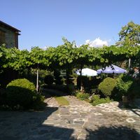 Vine at Villa Dihovo in Dihovo