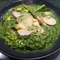 Risotto at The Green Affair - Chiado in Lisbon