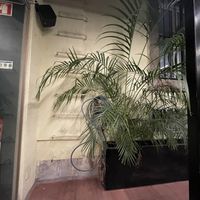   at The Green Affair - Chiado in Lisbon