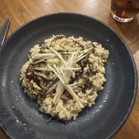 Mushroom risotto  at The Green Affair - Chiado in Lisbon