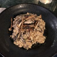 Mushroom risotto  at The Green Affair - Chiado in Lisbon