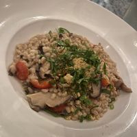 Barley Risotto - even better the next day   at Darbster in West Palm Beach