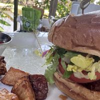 Chikn sandwich  at Darbster in West Palm Beach