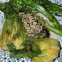 Korean “Steak” special  at Darbster in West Palm Beach