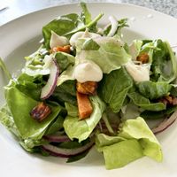 Fall salad   at Darbster in West Palm Beach