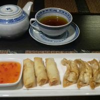 Vegan spring rolls and vegan gyoza at Yathida Noodle House in Ypres