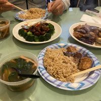 Wonton soup, braised spare ribs with broccoli. Eggplant & tofu with brown rice! at Enjoy Vegetarian - Financial District in San Francisco