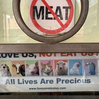   at Enjoy Vegetarian - Financial District in San Francisco