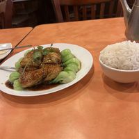   at Enjoy Vegetarian - Financial District in San Francisco