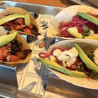   at Coyo Taco in Miami