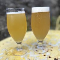 Beers   at Bear Claw Brewery in Berwick-upon-tweed