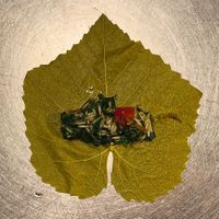 Mix Mahshie at Habibi in Rotterdam