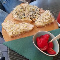 Hummus Toast at Roots in Zagreb