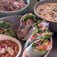Fresh rolls, green curry  at Khu Khu in Auckland