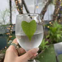 I picked this cute heart-shaped leaf & stuck it on my cup - 10/10 would recommend   at Oasis Mediterranean Cuisine in Key West