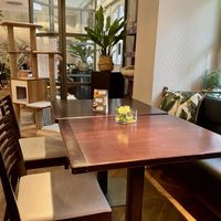 inside at Katzentempel - Rosenheim in Rosenheim