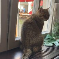 😍  at Katzentempel - Rosenheim in Rosenheim