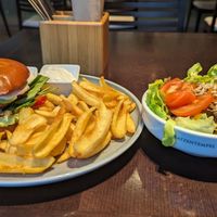  at Katzentempel - Rosenheim in Rosenheim