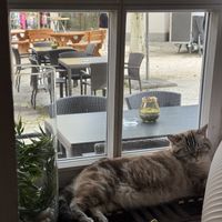   at Katzentempel - Rosenheim in Rosenheim