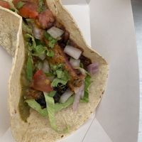   at Nopal in Gran Canaria