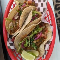  at Nopal in Gran Canaria