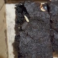  at Slick Burgers in Christchurch