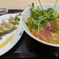 Gyoza and sesame tantanmen  #Veganuary at NRT - T's Tantan - T1 in Narita