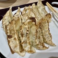 Gyoza plate   at NRT - T's Tantan - T1 in Narita