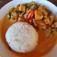 Curry with tofu + rice at Green Climbers Home in Thakhek